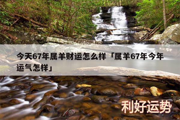 今天67年属羊财运怎么样及属羊67年今年运气怎样