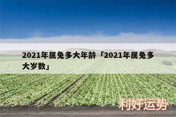 2024年属兔多大年龄及2024年属兔多大岁数