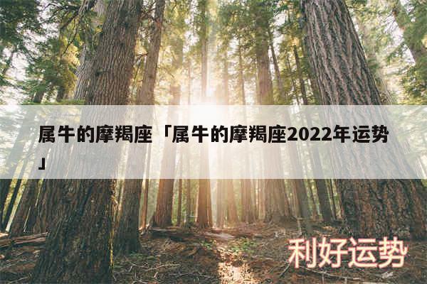 属牛的摩羯座及属牛的摩羯座2024年运势