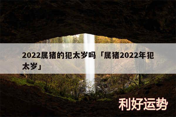 2024属猪的犯太岁吗及属猪2024年犯太岁