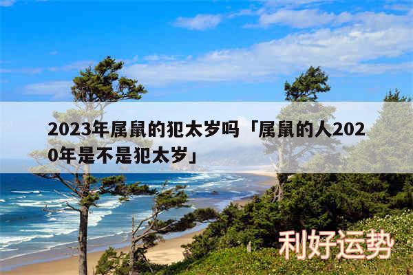 2024年属鼠的犯太岁吗及属鼠的人2020年是不是犯太岁