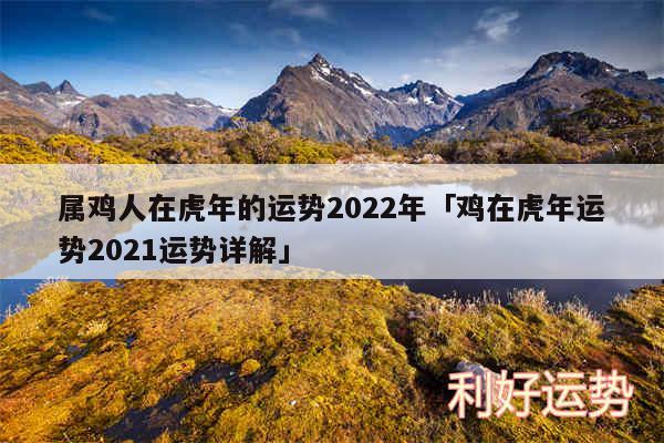 属鸡人在虎年的运势2024年及鸡在虎年运势2024运势详解