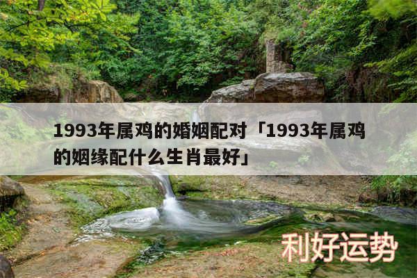 1993年属鸡的婚姻配对及1993年属鸡的姻缘配什么生肖最好