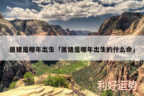 属猪是哪年出生及属猪是哪年出生的什么命