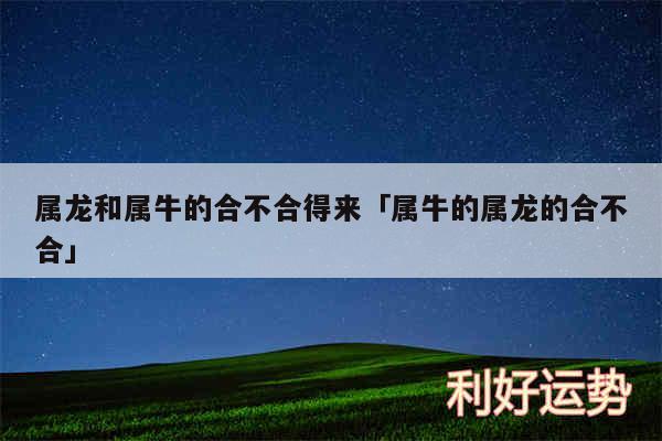 属龙和属牛的合不合得来及属牛的属龙的合不合