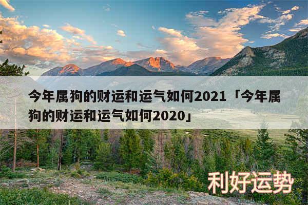 今年属狗的财运和运气如何2024及今年属狗的财运和运气如何2020