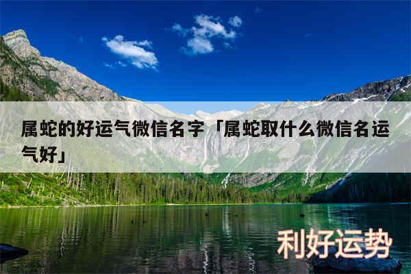 属蛇的好运气微信名字及属蛇取什么微信名运气好