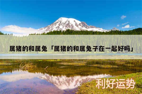 属猪的和属兔及属猪的和属兔子在一起好吗