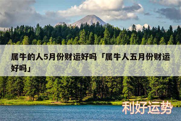 属牛的人5月份财运好吗及属牛人五月份财运好吗