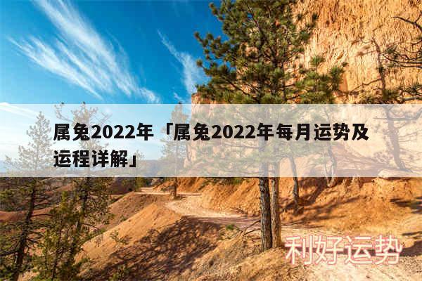 属兔2024年及属兔2024年每月运势及运程详解