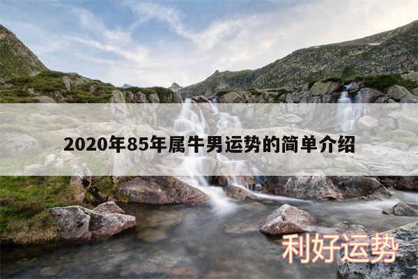 2020年85年属牛男运势的简单介绍