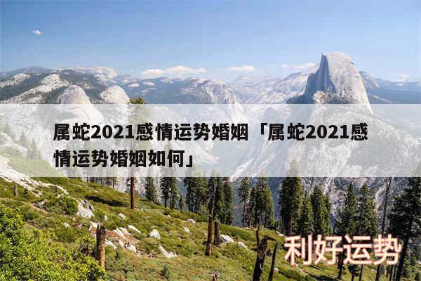 属蛇2024感情运势婚姻及属蛇2024感情运势婚姻如何