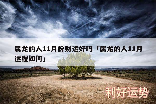属龙的人11月份财运好吗及属龙的人11月运程如何
