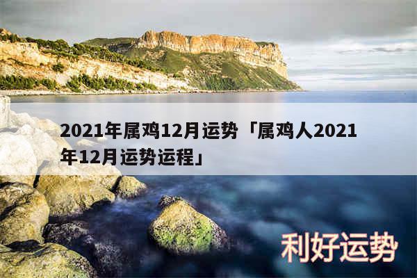 2024年属鸡12月运势及属鸡人2024年12月运势运程