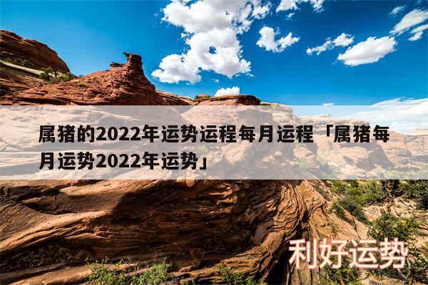 属猪的2024年运势运程每月运程及属猪每月运势2024年运势