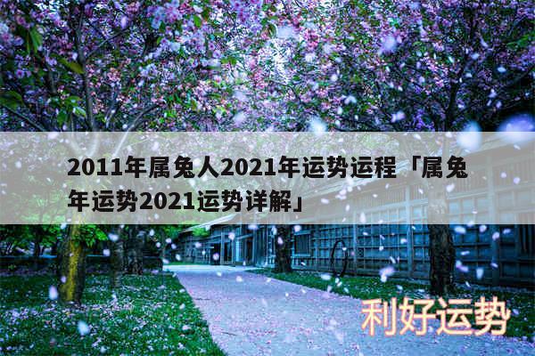 2011年属兔人2024年运势运程及属兔年运势2024运势详解