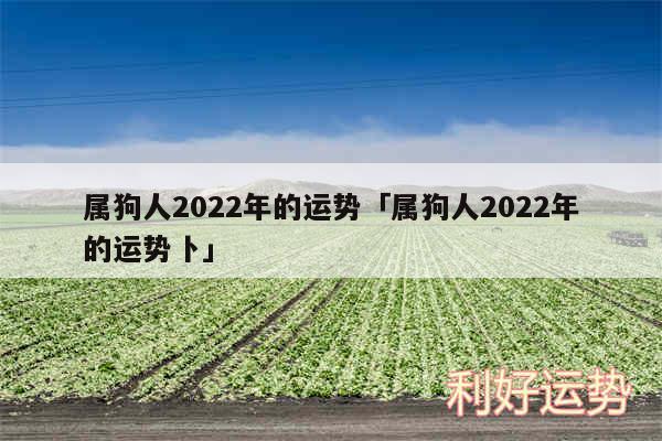 属狗人2024年的运势及属狗人2024年的运势卜