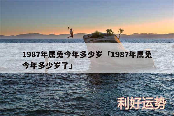 1987年属兔今年多少岁及1987年属兔今年多少岁了