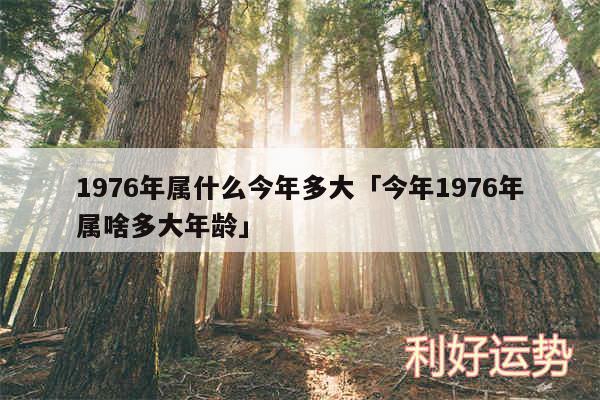 1976年属什么今年多大及今年1976年属啥多大年龄