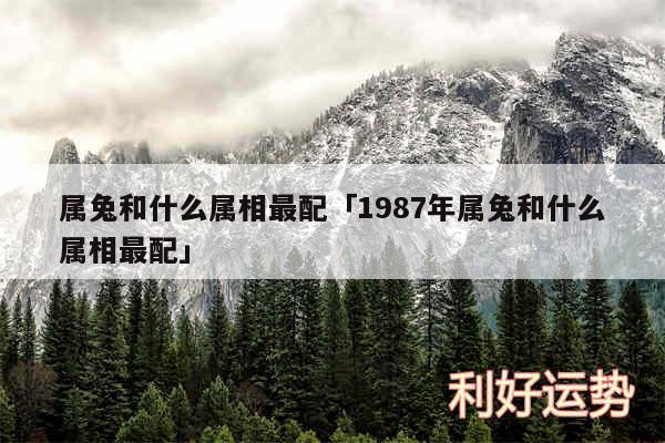 属兔和什么属相最配及1987年属兔和什么属相最配