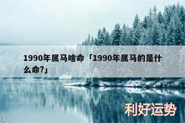 1990年属马啥命及1990年属马的是什么命?