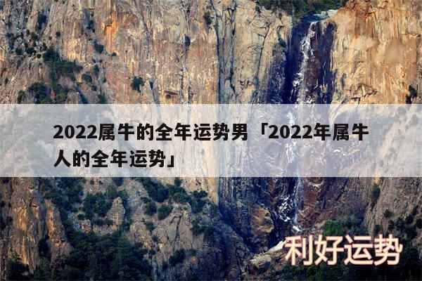 2024属牛的全年运势男及2024年属牛人的全年运势