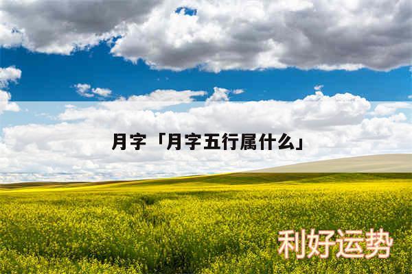 月字及月字五行属什么
