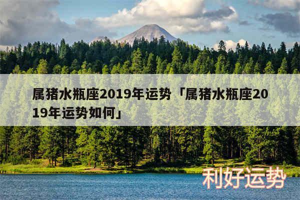 属猪水瓶座2019年运势及属猪水瓶座2019年运势如何