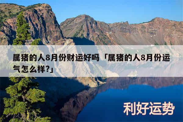 属猪的人8月份财运好吗及属猪的人8月份运气怎么样?