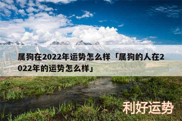 属狗在2024年运势怎么样及属狗的人在2024年的运势怎么样