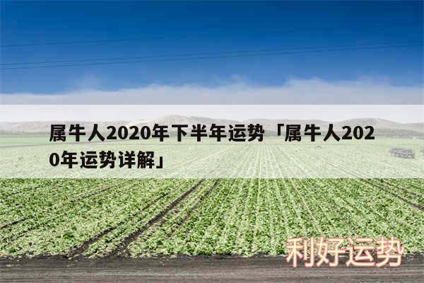 属牛人2020年下半年运势及属牛人2020年运势详解