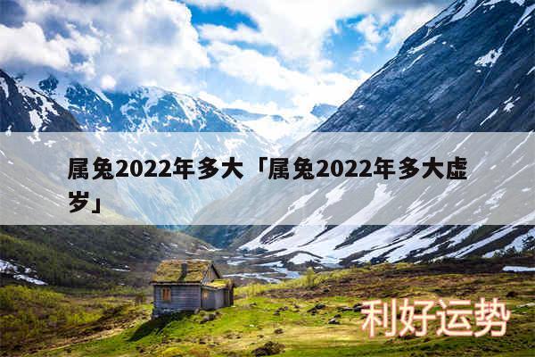 属兔2024年多大及属兔2024年多大虚岁