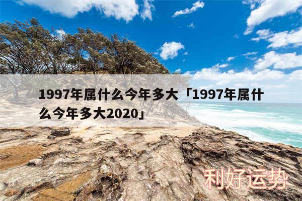 1997年属什么今年多大及1997年属什么今年多大2020