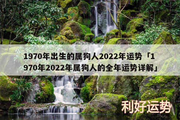 1970年出生的属狗人2024年运势及1970年2024年属狗人的全年运势详解