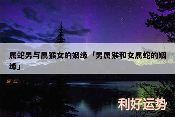 属蛇男与属猴女的姻缘及男属猴和女属蛇的姻缘