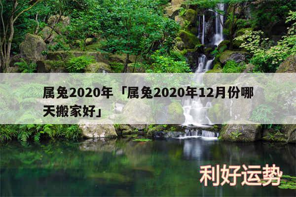 属兔2020年及属兔2020年12月份哪天搬家好