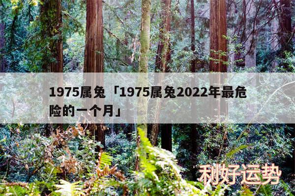 1975属兔及1975属兔2024年最危险的一个月