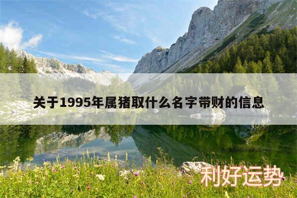 关于1995年属猪取什么名字带财的信息