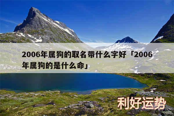 2006年属狗的取名带什么字好及2006年属狗的是什么命