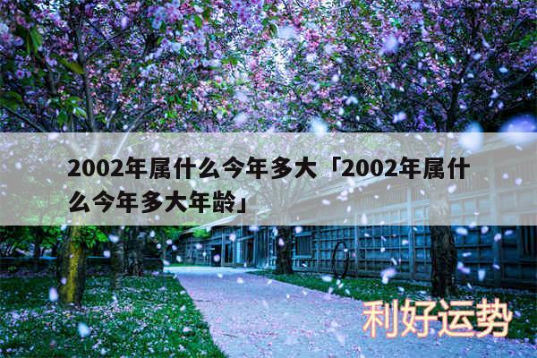 2002年属什么今年多大及2002年属什么今年多大年龄