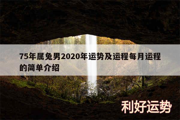 75年属兔男2020年运势及运程每月运程的简单介绍