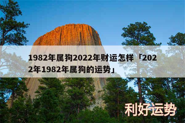 1982年属狗2024年财运怎样及2024年1982年属狗的运势