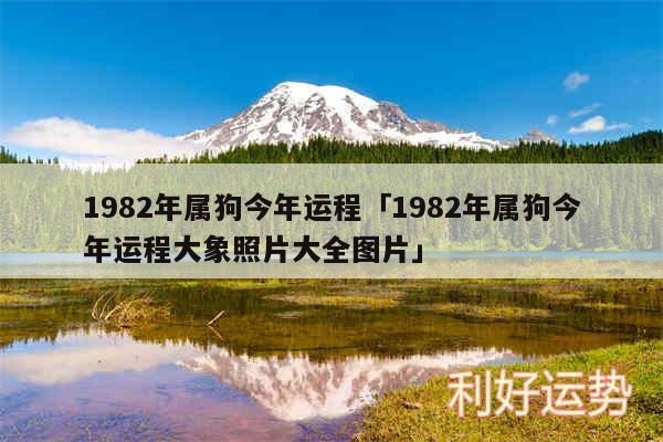 1982年属狗今年运程及1982年属狗今年运程大象照片大全图片