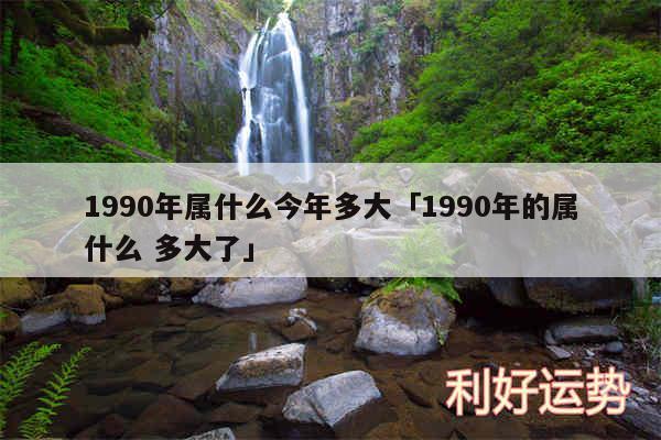 1990年属什么今年多大及1990年的属什么 多大了