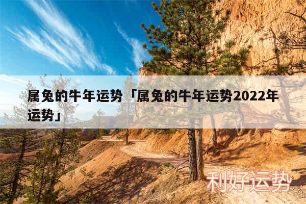 属兔的牛年运势及属兔的牛年运势2024年运势