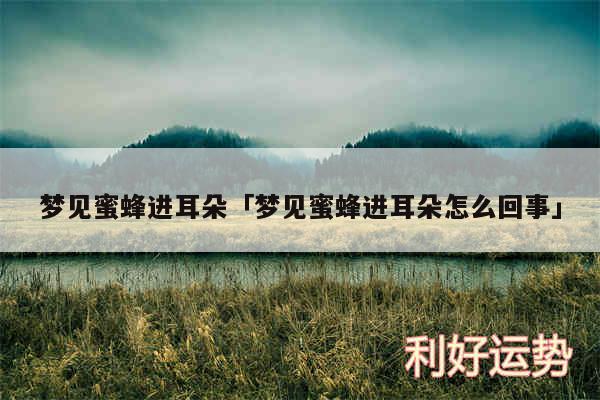 梦见蜜蜂进耳朵及梦见蜜蜂进耳朵怎么回事
