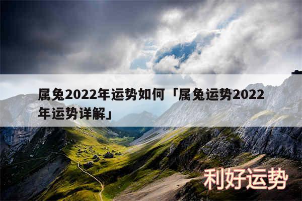 属兔2024年运势如何及属兔运势2024年运势详解