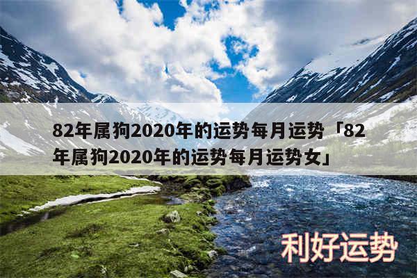 82年属狗2020年的运势每月运势及82年属狗2020年的运势每月运势女