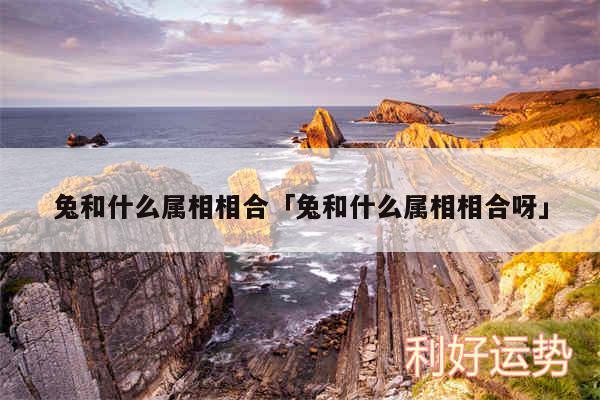 兔和什么属相相合及兔和什么属相相合呀