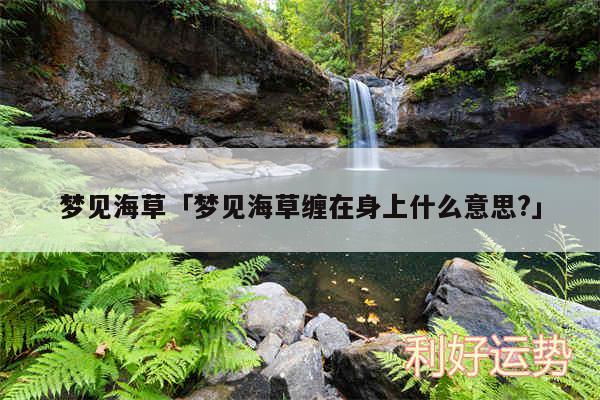 梦见海草及梦见海草缠在身上什么意思?